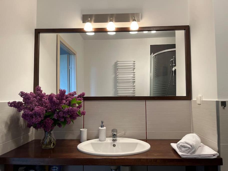Apartament Hemingwaya イェレニャ・グーラ エクステリア 写真