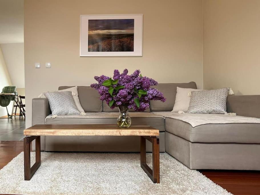 Apartament Hemingwaya イェレニャ・グーラ エクステリア 写真